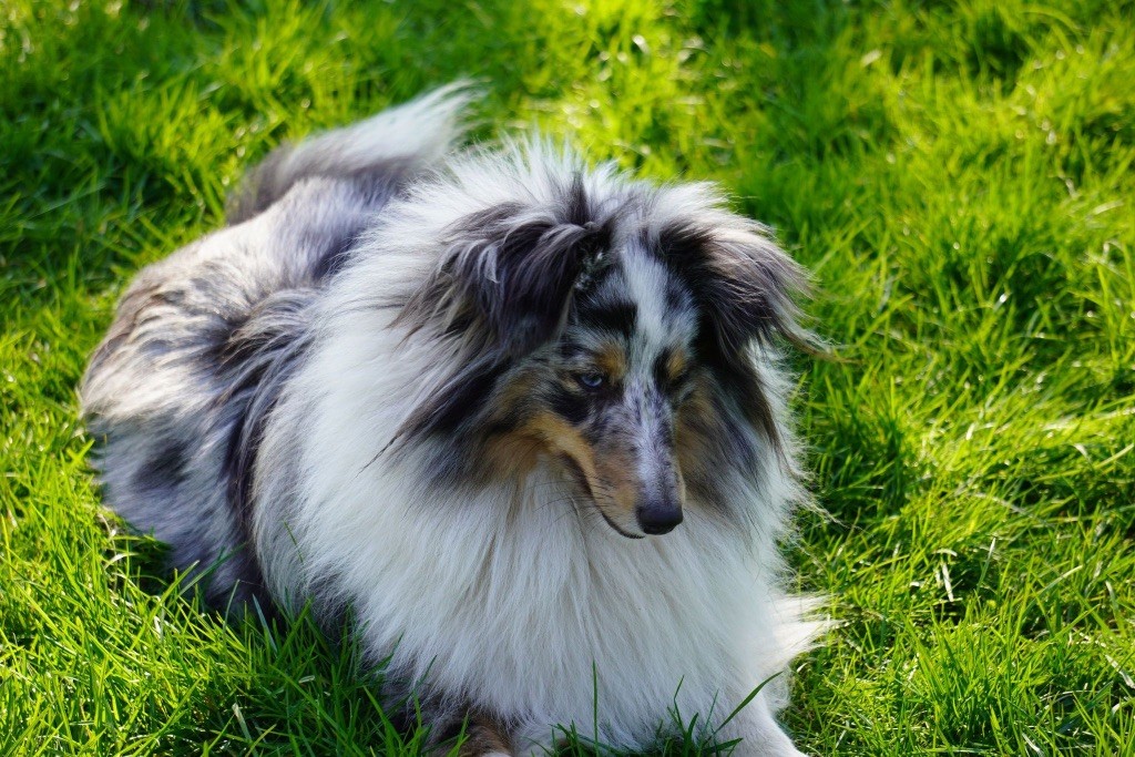 Tess de la valle du mainland